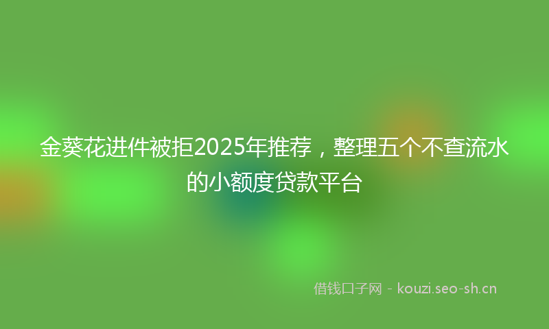 金葵花进件被拒2025年推荐，整理五个不查流水的小额度贷款平台