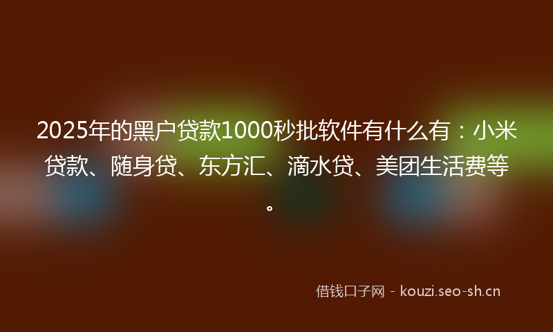 2025年的黑户贷款1000秒批软件有什么有：小米贷款、随身贷、东方汇、滴水贷、美团生活费等。