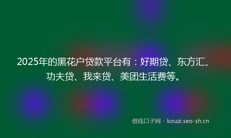 2025年的黑花户贷款平台有：好期贷、东方汇、功夫贷、我来贷、美团生活费等。