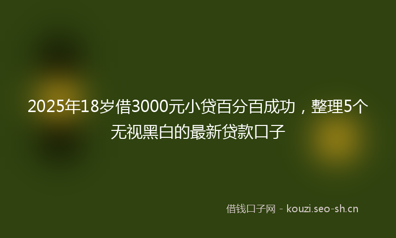 2025年18岁借3000元小贷百分百成功，整理5个无视黑白的最新贷款口子