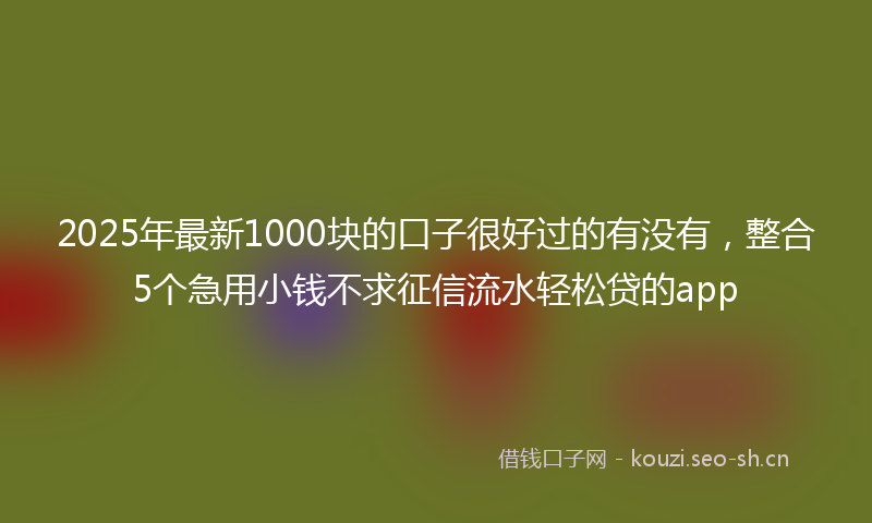 2025年最新1000块的口子很好过的有没有，整合5个急用小钱不求征信流水轻松贷的app