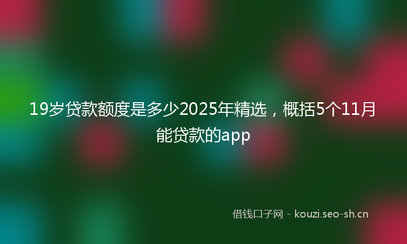 19岁贷款额度是多少2025年精选，概括5个11月能贷款的app