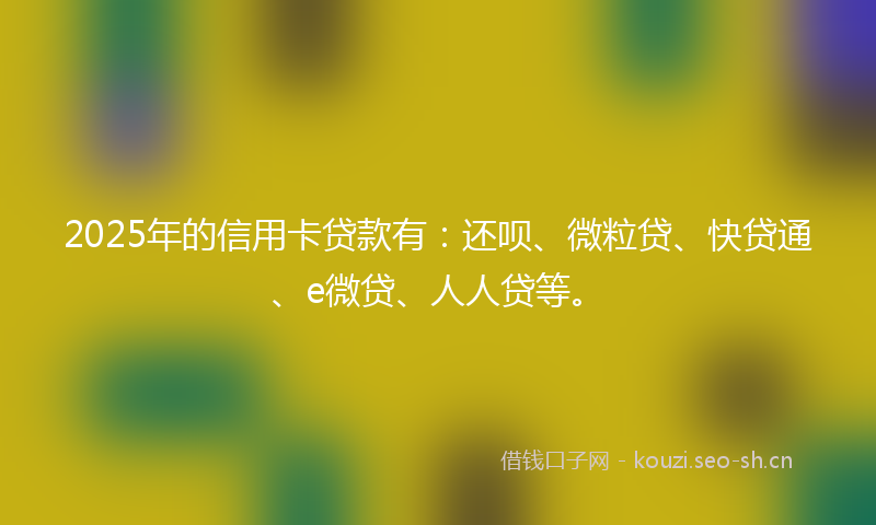 2025年的信用卡贷款有:还呗、微粒贷、快贷通、e微贷、人人贷等。