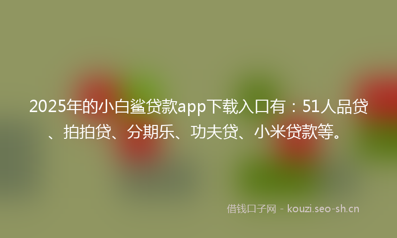 2025年的小白鲨贷款app下载入口有：51人品贷、拍拍贷、分期乐、功夫贷、小米贷款等。