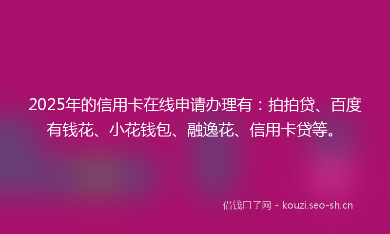 2025年的信用卡在线申请办理有:拍拍贷、百度有钱花、小花钱包、融逸花、信用卡贷等。
