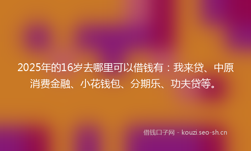 2025年的16岁去哪里可以借钱有：我来贷、中原消费金融、小花钱包、分期乐、功夫贷等。
