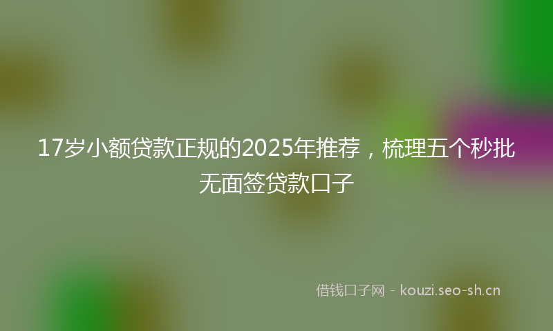 17岁小额贷款正规的2025年推荐，梳理五个秒批无面签贷款口子