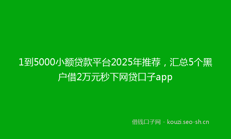 1到5000小额贷款平台2025年推荐，汇总5个黑户借2万元秒下网贷口子app