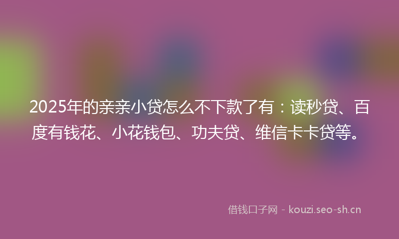 2025年的亲亲小贷怎么不下款了有：读秒贷、百度有钱花、小花钱包、功夫贷、维信卡卡贷等。