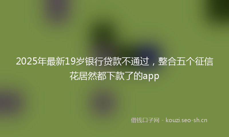 2025年最新19岁银行贷款不通过，整合五个征信花居然都下款了的app
