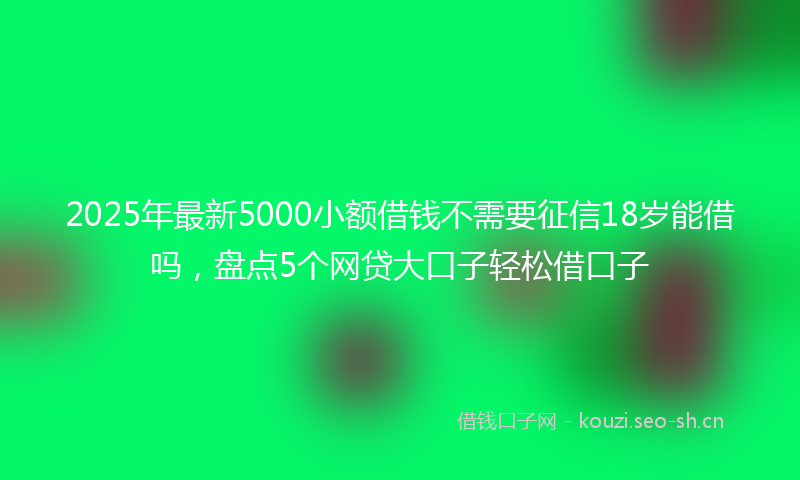 2025年最新5000小额借钱不需要征信18岁能借吗，盘点5个网贷大口子轻松借口子