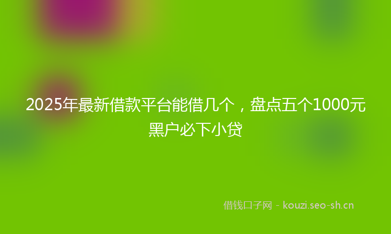 2025年最新借款平台能借几个，盘点五个1000元黑户必下小贷