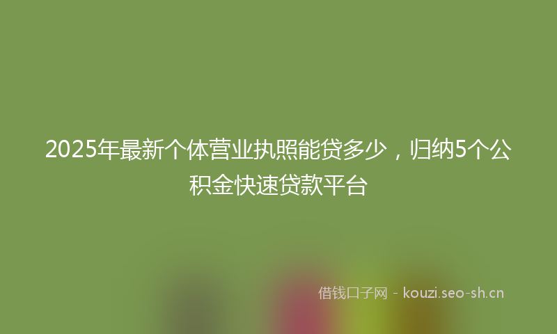 2025年最新个体营业执照能贷多少，归纳5个公积金快速贷款平台
