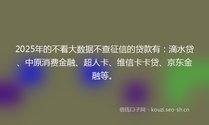 2025年的不看大数据不查征信的贷款有：滴水贷、中原消费金融、超人卡、维信卡卡贷、京东金融等。