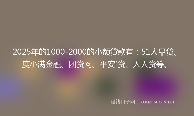 2025年的1000-2000的小额贷款有：51人品贷、度小满金融、团贷网、平安i贷、人人贷等。