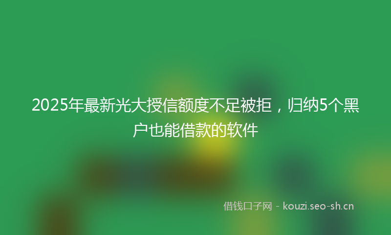 2025年最新光大授信额度不足被拒，归纳5个黑户也能借款的软件