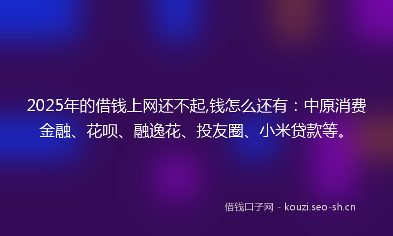 2025年的借钱上网还不起,钱怎么还有：中原消费金融、花呗、融逸花、投友圈、小米贷款等。