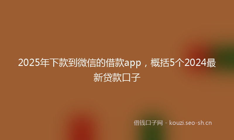 2025年下款到微信的借款app，概括5个2024最新贷款口子