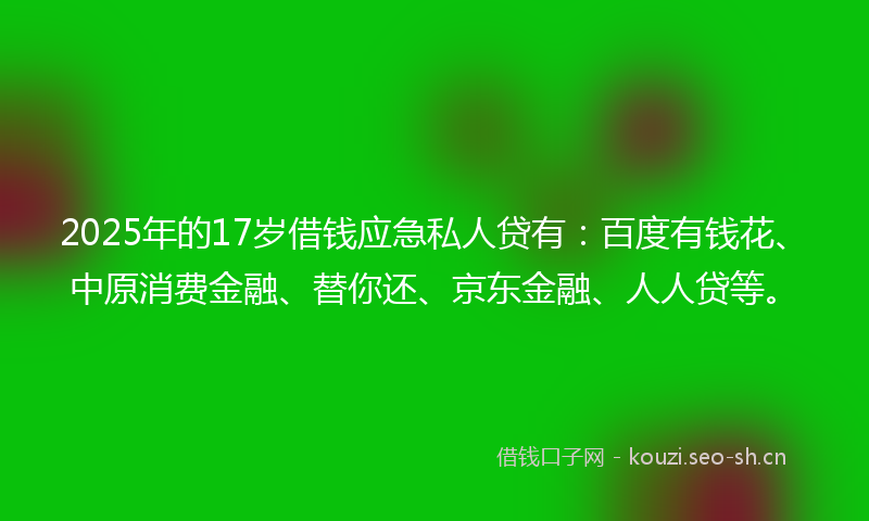 2025年的17岁借钱应急私人贷有:百度有钱花、中原消费金融、替你还、京东金融、人人贷等。