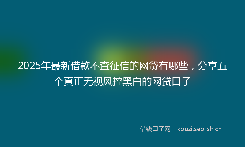 2025年最新借款不查征信的网贷有哪些，分享五个真正无视风控黑白的网贷口子