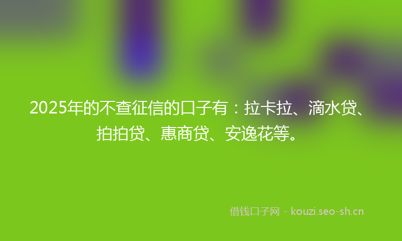 2025年的不查征信的口子有：拉卡拉、滴水贷、拍拍贷、惠商贷、安逸花等。