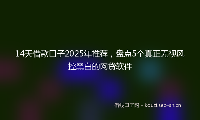 14天借款口子2025年推荐，盘点5个真正无视风控黑白的网贷软件