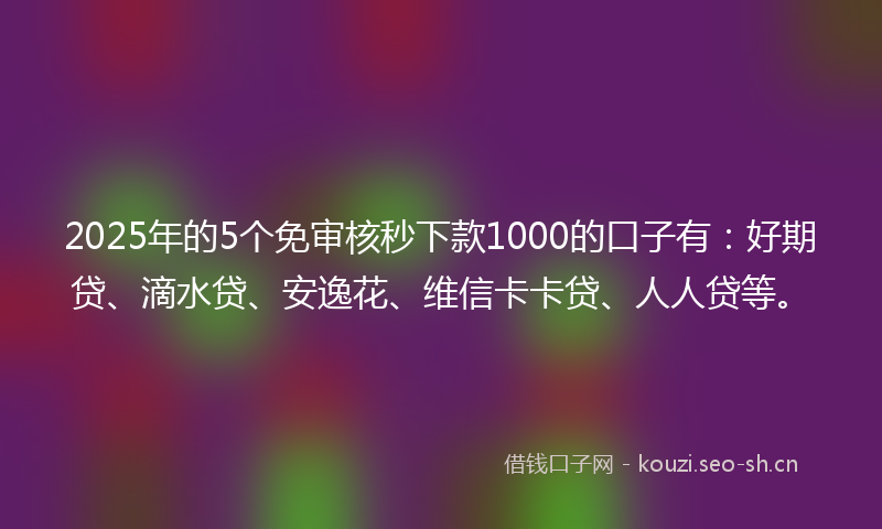 2025年的5个免审核秒下款1000的口子有：好期贷、滴水贷、安逸花、维信卡卡贷、人人贷等。