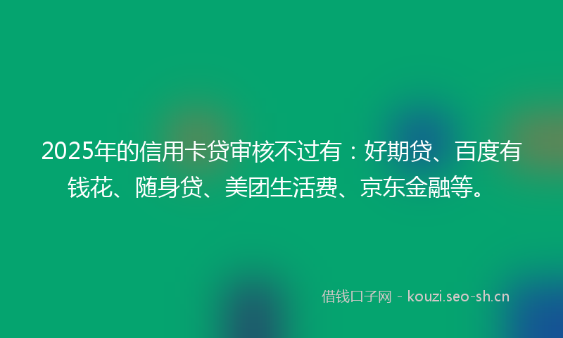 2025年的信用卡贷审核不过有：好期贷、百度有钱花、随身贷、美团生活费、京东金融等。