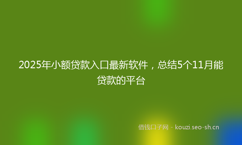2025年小额贷款入口最新软件，总结5个11月能贷款的平台