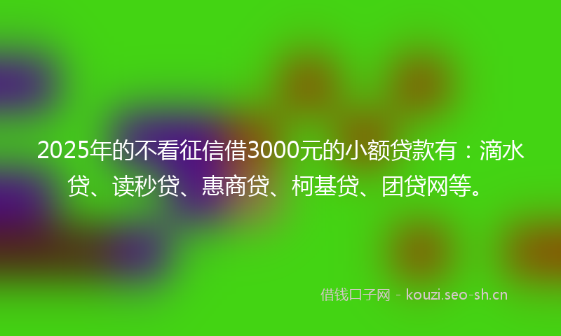 2025年的不看征信借3000元的小额贷款有：滴水贷、读秒贷、惠商贷、柯基贷、团贷网等。