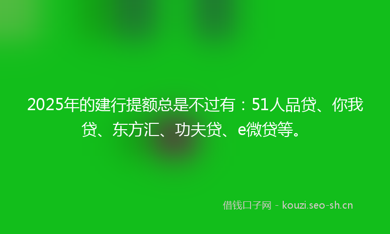 2025年的建行提额总是不过有：51人品贷、你我贷、东方汇、功夫贷、e微贷等。