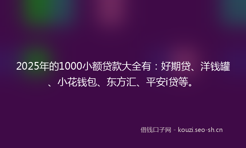 2025年的1000小额贷款大全有：好期贷、洋钱罐、小花钱包、东方汇、平安i贷等。