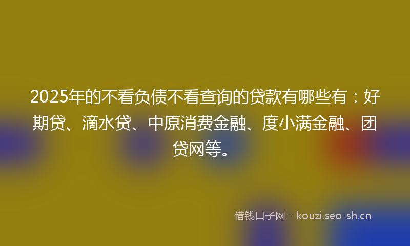2025年的不看负债不看查询的贷款有哪些有：好期贷、滴水贷、中原消费金融、度小满金融、团贷网等。