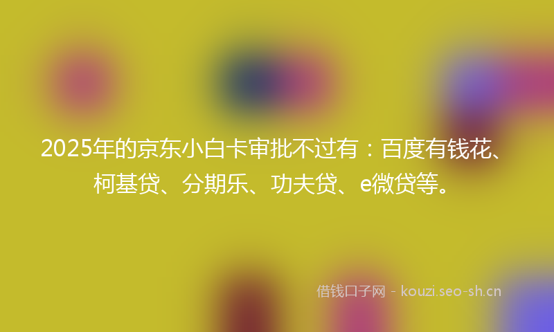 2025年的京东小白卡审批不过有：百度有钱花、柯基贷、分期乐、功夫贷、e微贷等。