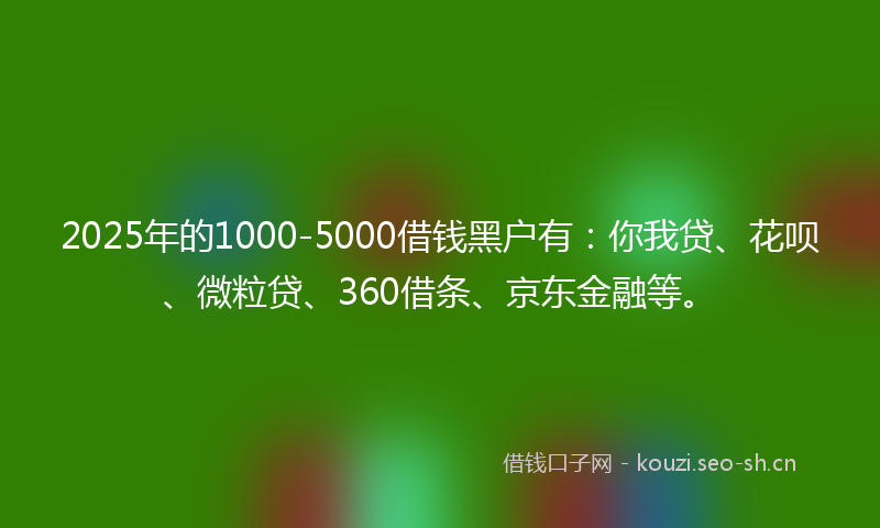 2025年的1000-5000借钱黑户有：你我贷、花呗、微粒贷、360借条、京东金融等。