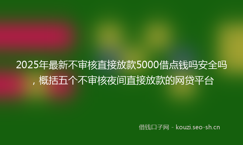 2025年最新不审核直接放款5000借点钱吗安全吗，概括五个不审核夜间直接放款的网贷平台