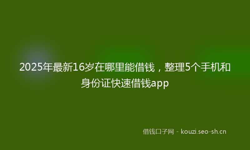 2025年最新16岁在哪里能借钱,整理5个手机和身份证快速借钱app