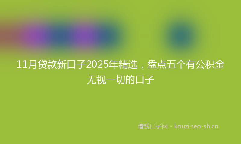 11月贷款新口子2025年精选，盘点五个有公积金无视一切的口子
