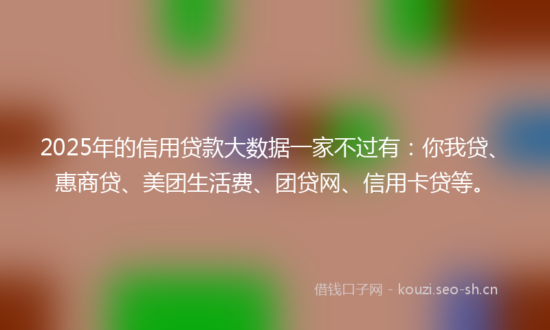 2025年的信用贷款大数据一家不过有：你我贷、惠商贷、美团生活费、团贷网、信用卡贷等。