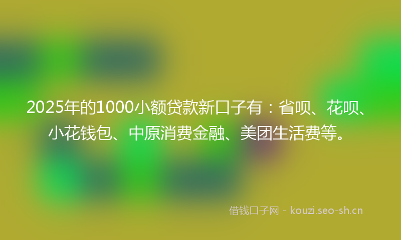 2025年的1000小额贷款新口子有:省呗、花呗、小花钱包、中原消费金融、美团生活费等。
