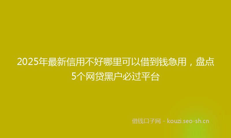 2025年最新信用不好哪里可以借到钱急用，盘点5个网贷黑户必过平台