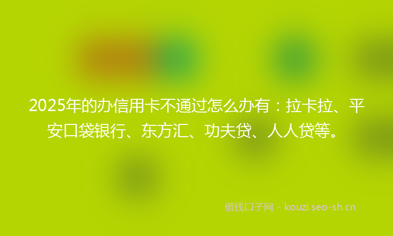 2025年的办信用卡不通过怎么办有：拉卡拉、平安口袋银行、东方汇、功夫贷、人人贷等。