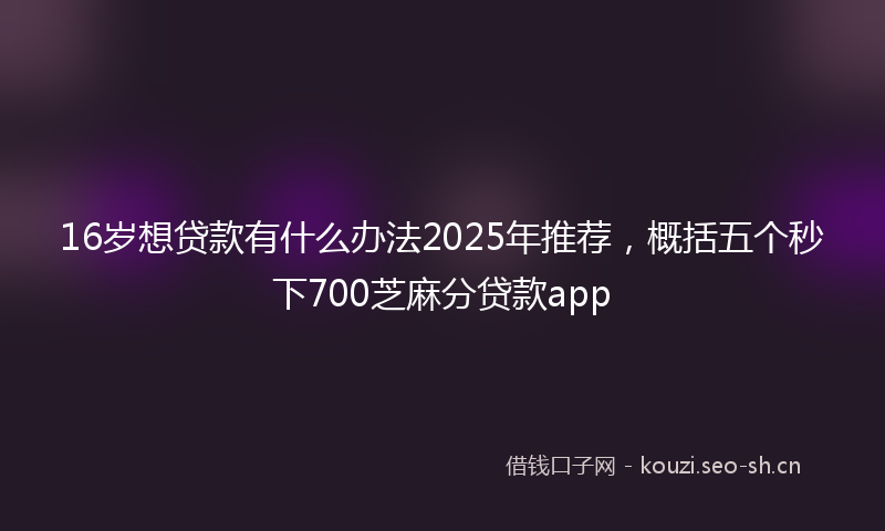 16岁想贷款有什么办法2025年推荐，概括五个秒下700芝麻分贷款app