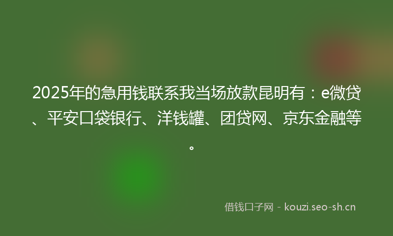 2025年的急用钱联系我当场放款昆明有：e微贷、平安口袋银行、洋钱罐、团贷网、京东金融等。