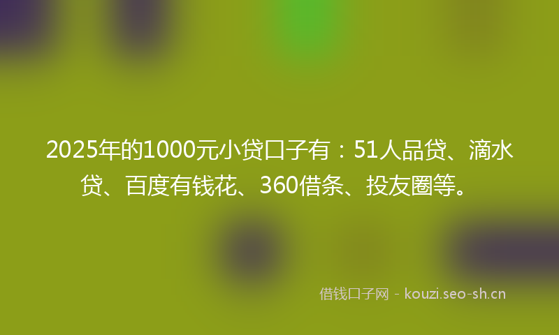 2025年的1000元小贷口子有：51人品贷、滴水贷、百度有钱花、360借条、投友圈等。