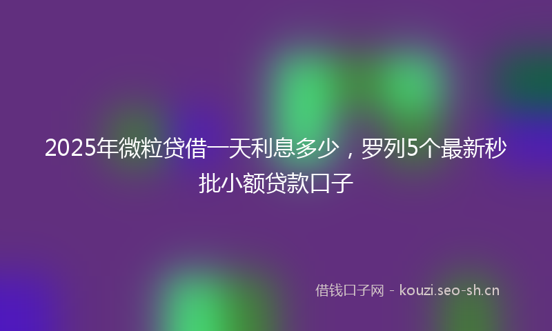 2025年微粒贷借一天利息多少，罗列5个最新秒批小额贷款口子