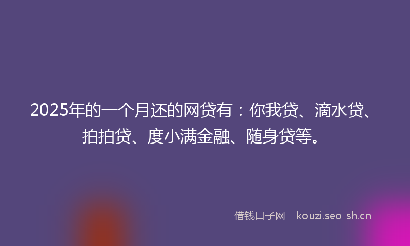 2025年的一个月还的网贷有：你我贷、滴水贷、拍拍贷、度小满金融、随身贷等。