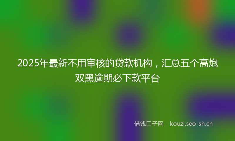 2025年最新不用审核的贷款机构，汇总五个高炮双黑逾期必下款平台