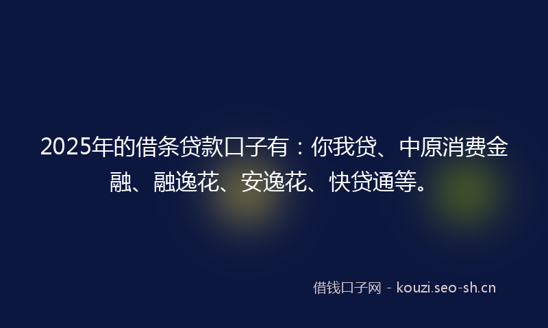 2025年的借条贷款口子有：你我贷、中原消费金融、融逸花、安逸花、快贷通等。