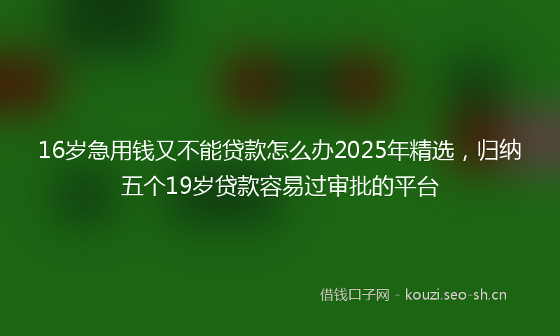 16岁急用钱又不能贷款怎么办2025年精选，归纳五个19岁贷款容易过审批的平台